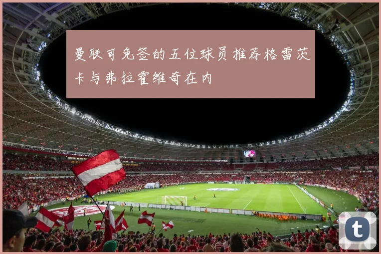 曼联可免签的五位球员推荐格雷茨卡与弗拉霍维奇在内